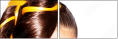 54891018