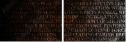 54969981