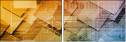 54970423