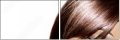 55081931