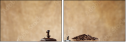 55151919