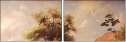 55361975