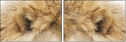 55423548