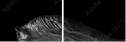 55501476