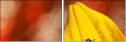 55820987