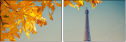 55873344