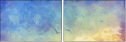 56482260
