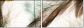 56562123