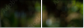 56795972