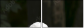 57060206