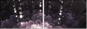 57185040