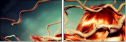 57362714