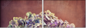 57545430
