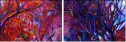 57599283