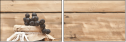 57608269