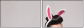 57889925