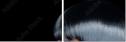 57942078