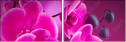 58002130