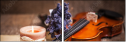 58289639