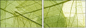 58647115