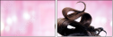 58689994