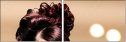 58690004