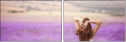58710194