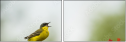 58740604