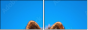 58783058