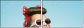 58844946
