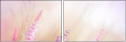 58998785