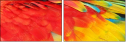 59019361