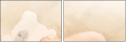 59056429