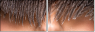 59175977
