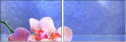 59560560