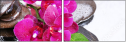 59704886