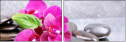 59767586