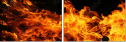 59859879