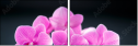 59897994