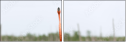 59910019