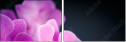 59923716