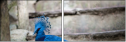 60046896