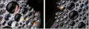 60098893