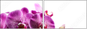 60209839