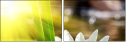 60275600