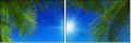 60362242