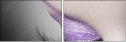 60390029