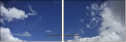 60525051