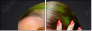 60857944