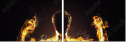 61751589